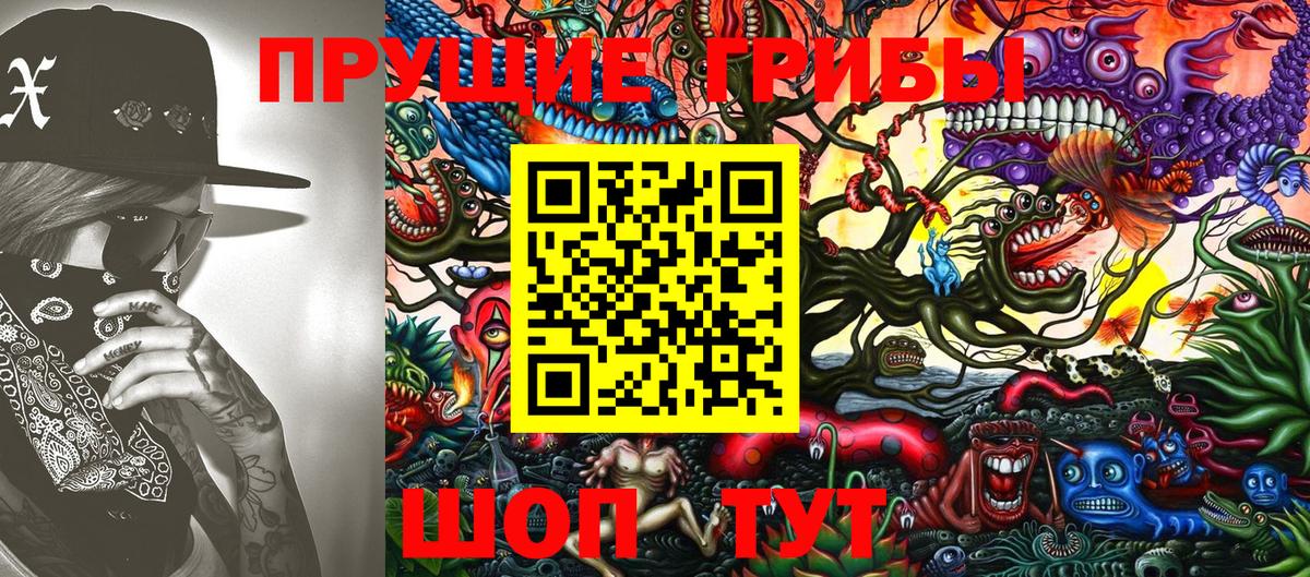 Клинцы  Псилоцибиновые грибы Cubensis  Вход с VPN  Псилоцибиновые грибы Magic Shrooms 