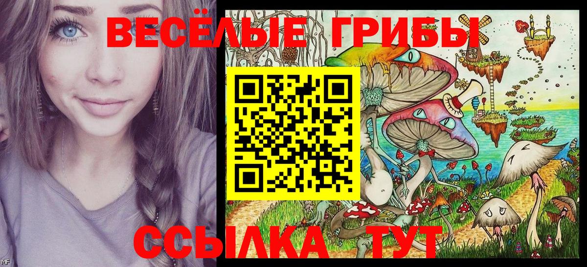Галлюциногенные грибы Cubensis Клинцы